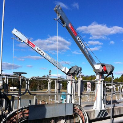500KG Davit Cranes